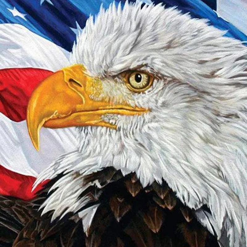 American Eagle Jigsaw Puzzle