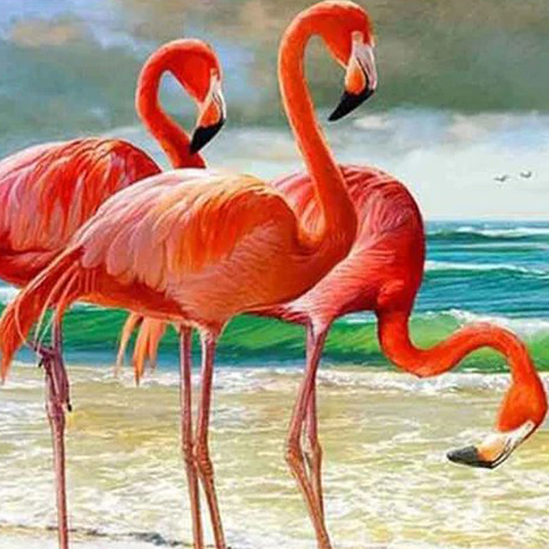 Beach & Flamingos Jigsaw Puzzle