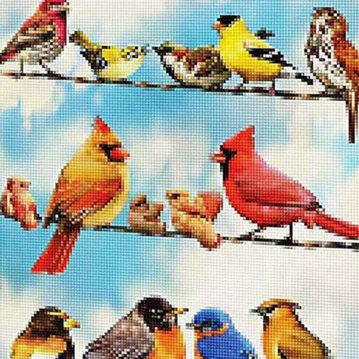 Birds on a Wire Jigsaw Puzzle