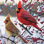 Load image into Gallery viewer, Cardinal Bird Jigsaw Puzzle
