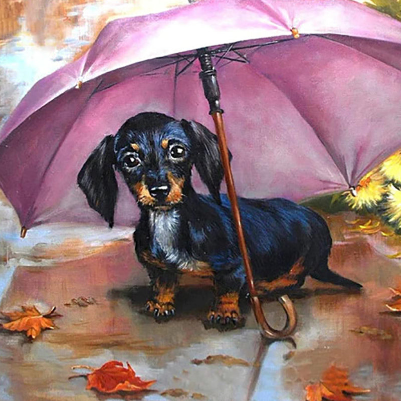 Dog In An Umbrella Jigsaw Puzzle