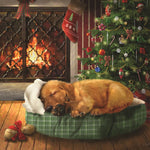 Load image into Gallery viewer, Fireside Nap Jigsaw Puzzle
