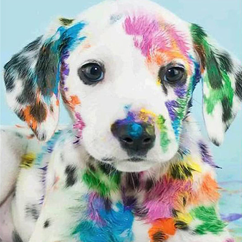 Painted Dog Jigsaw Puzzle