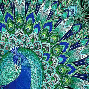 Peacock Beauty Jigsaw Puzzle