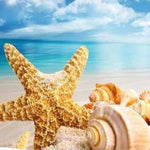 Load image into Gallery viewer, Sandy Shells Jigsaw Puzzle
