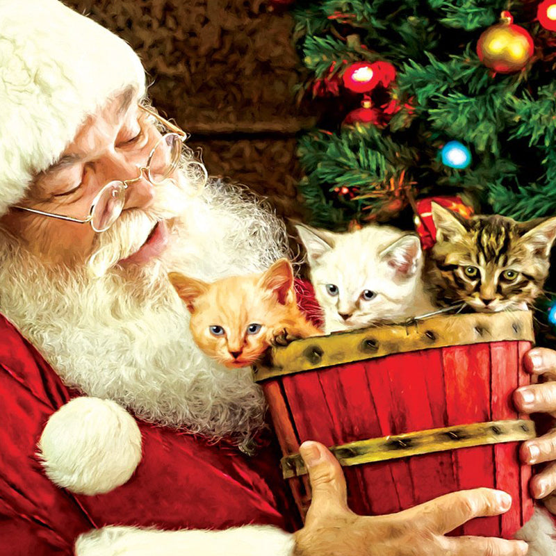 Santas Surprise Jigsaw Puzzle