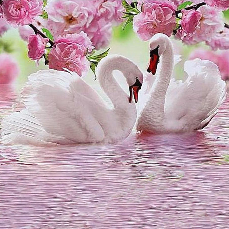 Swan In Love Jigsaw Puzzle