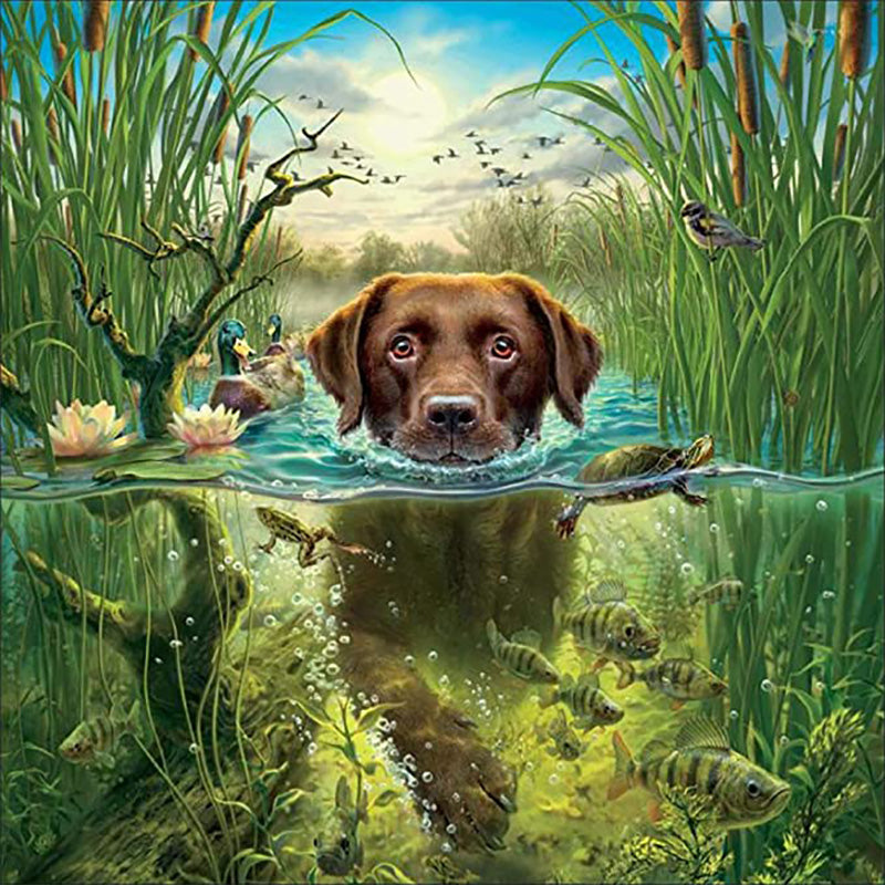 Swimming Dog Jigsaw Puzzle