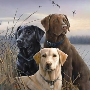 Three Dogs In A Field Jigsaw Puzzle