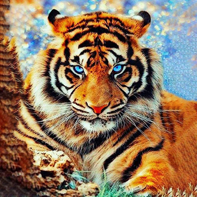 Tiger With Blue Eyes Jigsaw Puzzle