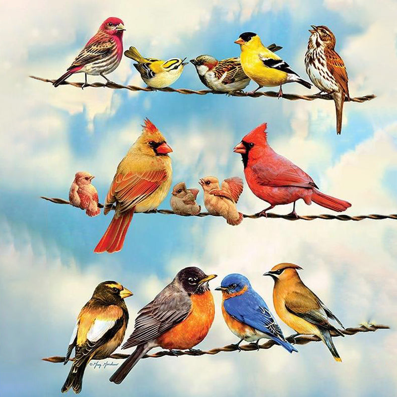 Variety Of Birds Jigsaw Puzzle