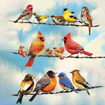 Load image into Gallery viewer, Variety Of Birds Jigsaw Puzzle
