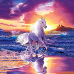 Load image into Gallery viewer, White Horse On Beach Jigsaw Puzzle
