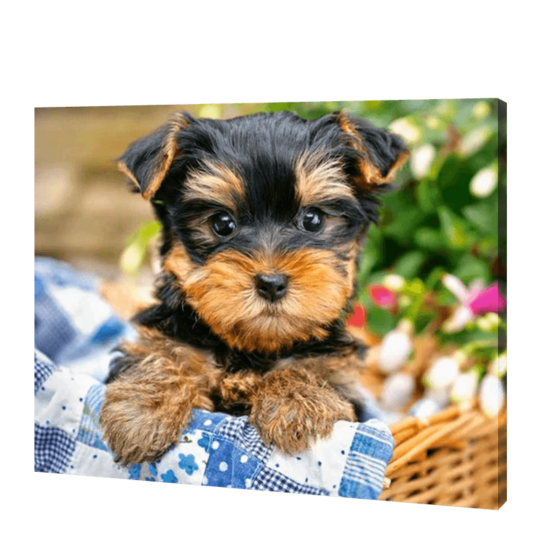 Dog In A Basket | Jigsaw Puzzle UK
