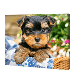 Load image into Gallery viewer, Dog In A Basket | Jigsaw Puzzle UK
