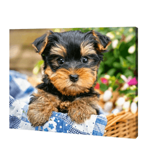 Dog In A Basket | Jigsaw Puzzle UK