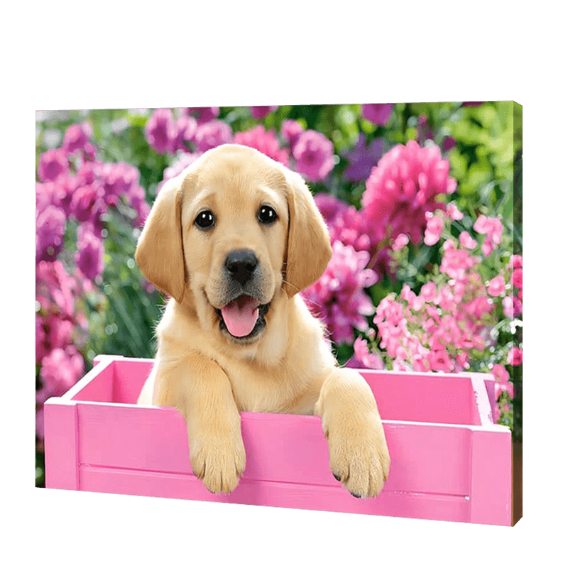 Dog In A Pink Box | Jigsaw Puzzle UK
