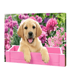 Load image into Gallery viewer, Dog In A Pink Box | Jigsaw Puzzle UK
