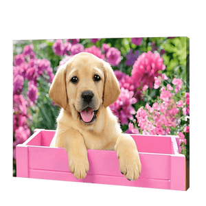 Dog In A Pink Box | Jigsaw Puzzle UK