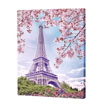 Load image into Gallery viewer, Eiffel Tower Landscape Beauty | Jigsaw Puzzle UK
