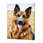 Load image into Gallery viewer, German Sheppard | Jigsaw Puzzle UK
