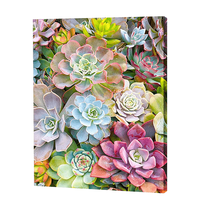 Hen & Chicks Flowers | Jigsaw Puzzle UK