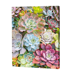 Hen & Chicks Flowers | Jigsaw Puzzle UK