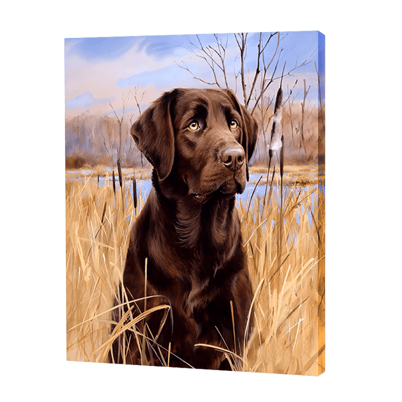 Labrador In A Field | Jigsaw Puzzle UK