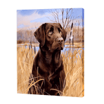 Load image into Gallery viewer, Labrador In A Field | Jigsaw Puzzle UK
