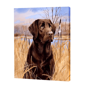 Labrador In A Field | Jigsaw Puzzle UK