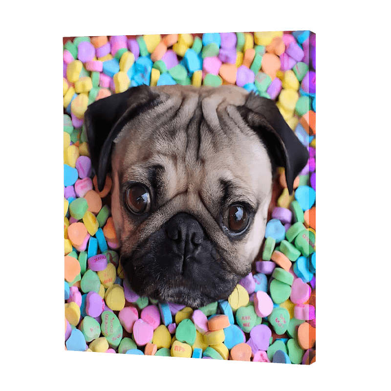 Pug With Candies | Jigsaw Puzzle UK