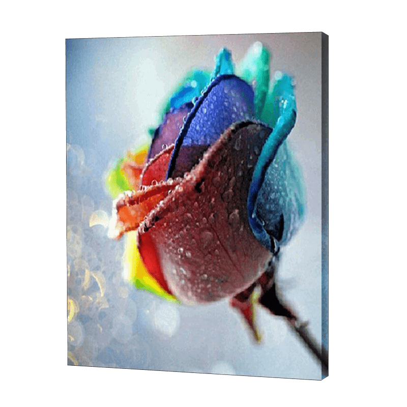 Rainbow Dewy Rose | Jigsaw Puzzle UK