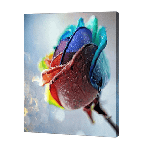 Rainbow Dewy Rose | Jigsaw Puzzle UK