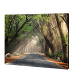 Load image into Gallery viewer, Road Covered With Trees | Jigsaw Puzzle UK
