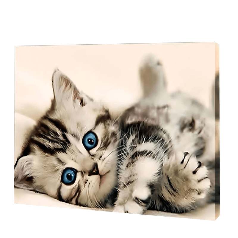 The Kitten With Blue Eyes | Jigsaw Puzzle UK