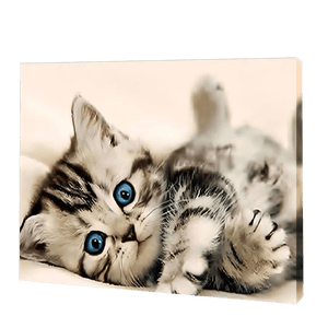 The Kitten With Blue Eyes | Jigsaw Puzzle UK