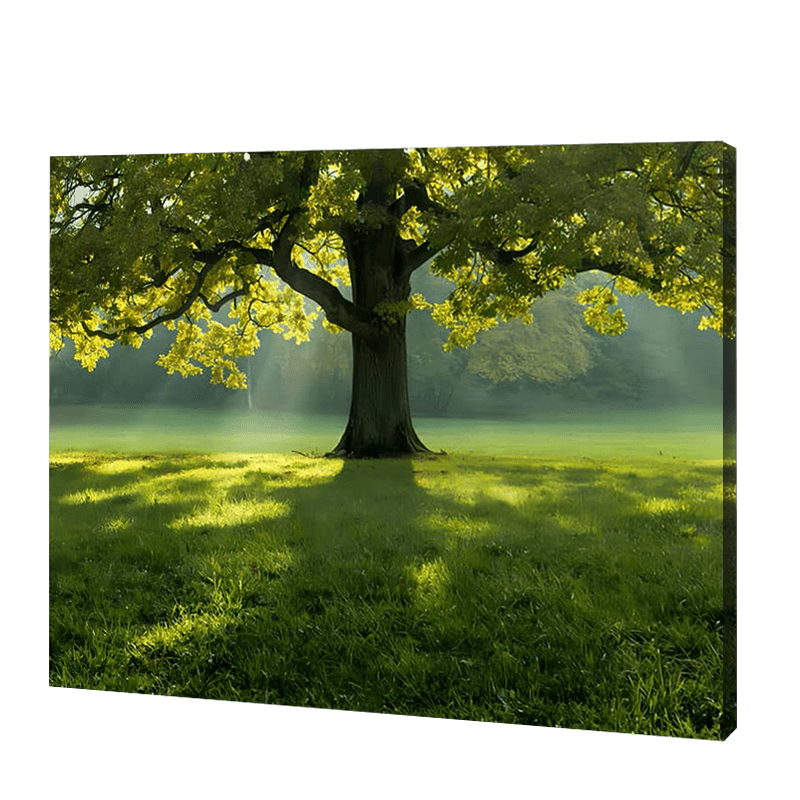 The Big Tree In Summer | Jigsaw Puzzle UK