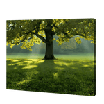 Load image into Gallery viewer, The Big Tree In Summer | Jigsaw Puzzle UK
