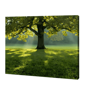 The Big Tree In Summer | Jigsaw Puzzle UK