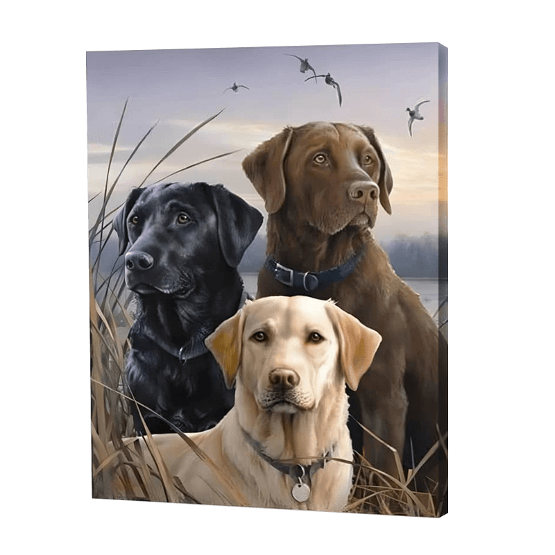 Three Dogs In A Field | Jigsaw Puzzle UK