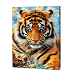 Load image into Gallery viewer, Tiger With Blue Eyes | Jigsaw Puzzle UK
