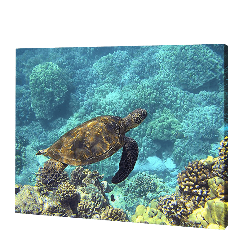 Turtle In Blue Waters | Jigsaw Puzzle UK
