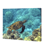 Load image into Gallery viewer, Turtle In Blue Waters | Jigsaw Puzzle UK
