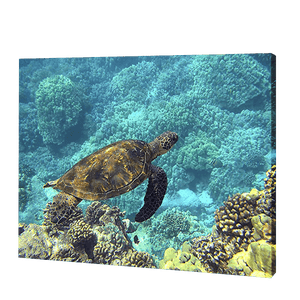 Turtle In Blue Waters | Jigsaw Puzzle UK