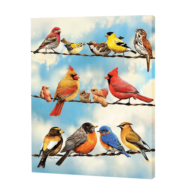 Variety Of Birds | Jigsaw Puzzle UK
