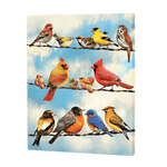 Load image into Gallery viewer, Variety Of Birds | Jigsaw Puzzle UK
