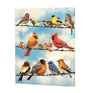 Variety Of Birds | Jigsaw Puzzle UK