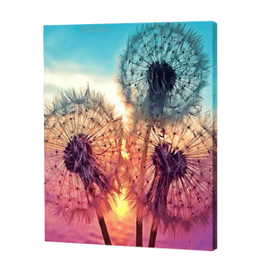 Dandelions In A Sunset | Jigsaw Puzzle UK