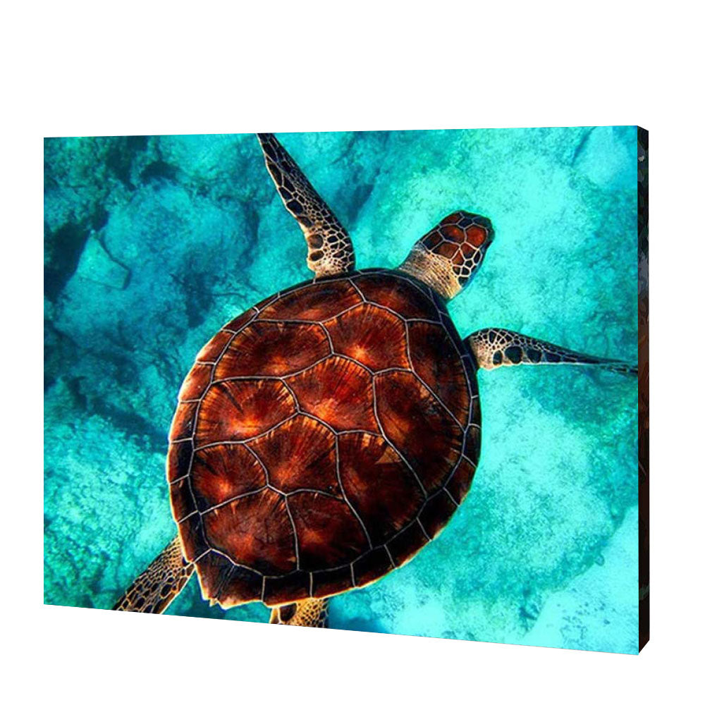 Swimming Sea Turtle | Jigsaw Puzzle UK